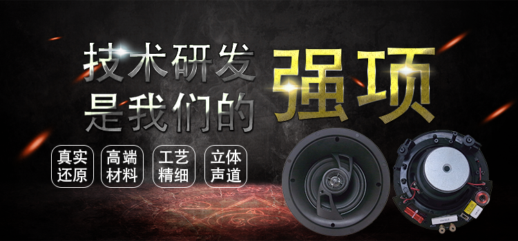 6.5寸吸顶式天花喇叭 6.5寸吸顶式天花喇叭