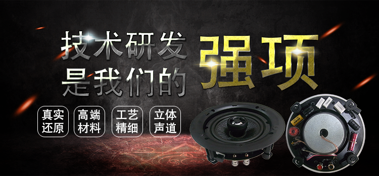 6.5寸30瓦天花吸顶喇叭 6.5寸30瓦天花吸顶喇叭