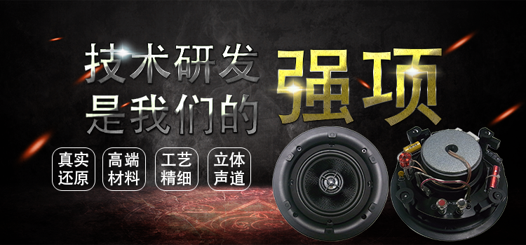 5.25寸天花扬声 5.25寸天花扬声