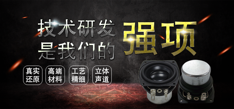 2.25寸(56*57)全频HIFI音箱喇叭 2.25寸(56*57)全频HIFI音箱喇叭