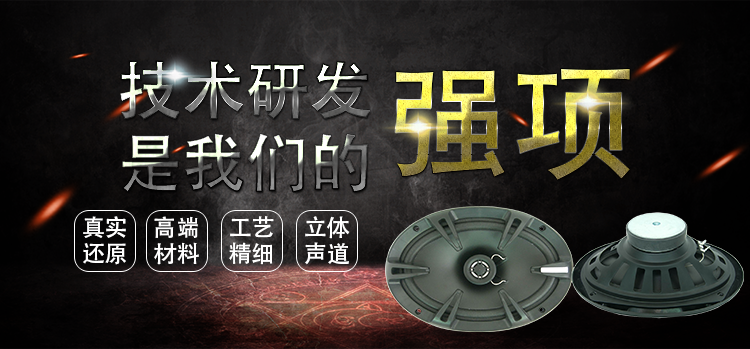 258*187mmpp盆50W铁氧体全频汽车音响喇叭 258*187mmpp盆50W铁氧体全频汽车音响喇叭