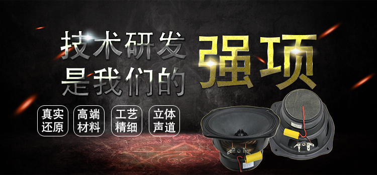 6寸(159mm)两路汽车音响喇叭 6寸(159mm)两路汽车音响喇叭
