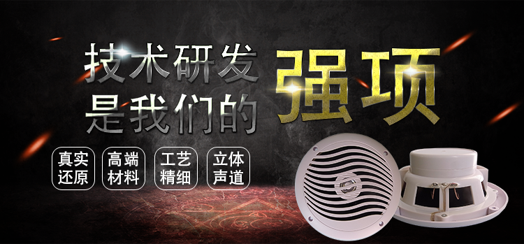6.5寸PP盆/橡胶边稀土高强磁25.5芯60W全频船用音箱喇叭 6.5寸PP盆/橡胶边稀土高强磁25.5芯60W全频船用音箱喇叭