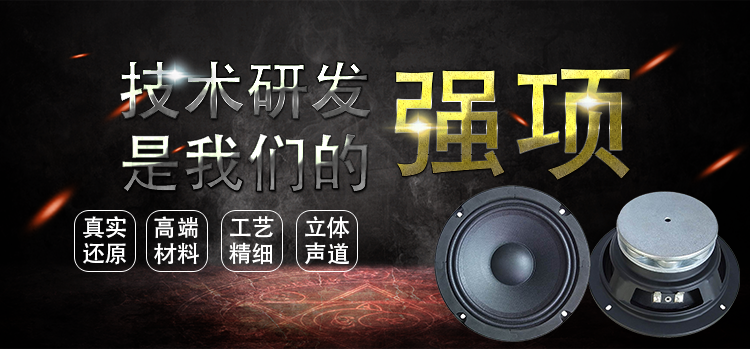 6.5寸中高音舞台音箱喇叭 6.5寸中高音舞台音箱喇叭